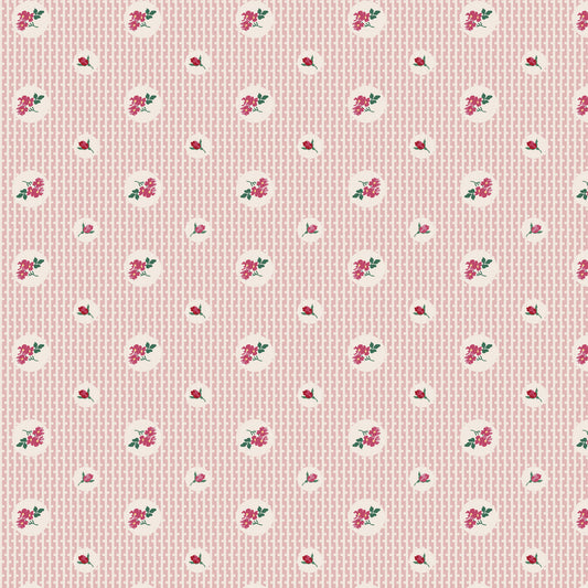 Evie Pink