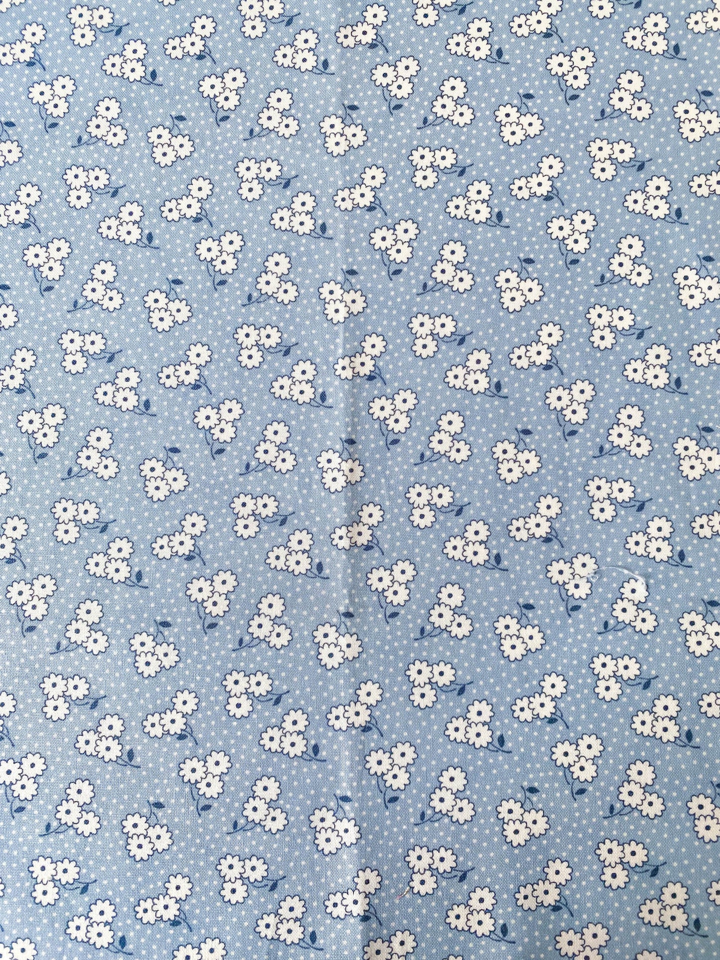 Tiny White Daisies on Blue