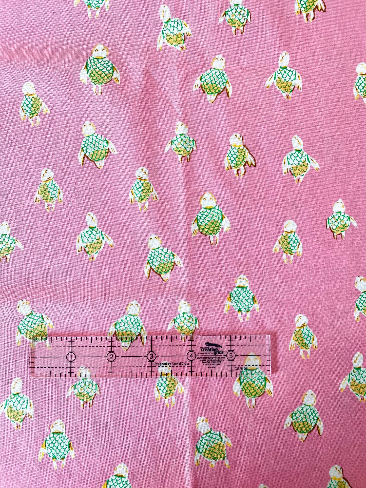 Turtle on Pink