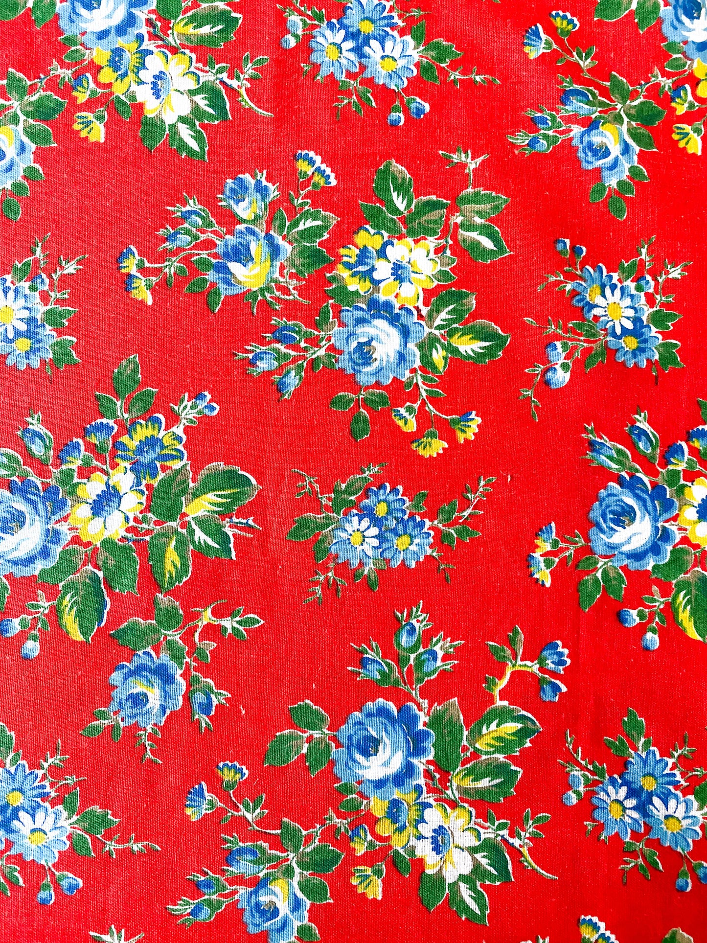 Blue Floral on Red
